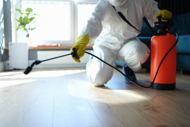 Reliable Odor Removal contractor in Rialto, CA by Dulley Family Biohazard Services